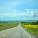 The 가까운약국 이미지