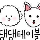 댕댕테이블 이미지