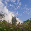 인아트스튜디오 이미지