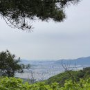 외국어로서의 한국어교육과정 및 교수요목설계 이미지