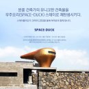 우주오리 이미지