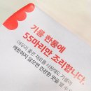 해뜰닭 이미지