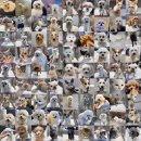 윤슬동물병원 이미지