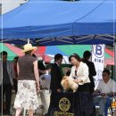 카사노바에리켄넬 이미지