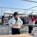 제주윤채 | 제주 애견동반 숙소 '제주윤채' 감귤 &amp; 카나리아 후기