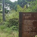 양평 세미원 티스토리
