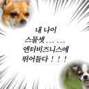 [엔터비즈니스 마스터 클래스 4기] 6주차 활동 후기 (+워크샵)