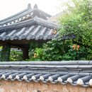 의료법인유성의료재단 유성요양병원 이미지