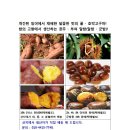 호박공주 - 전주시 완산구 거마중앙로 24 | 호박공주