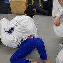 라이프짐MMA 이미지