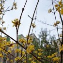 하양낚시 이미지