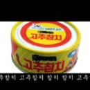 추참치