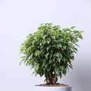 한결가정의학과의원 이미지