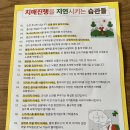 치매 검사 이미지