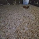 건강대중탕 이미지