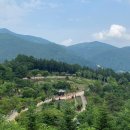 황부자 며느리 친정가는 둘레길 | [강원도 태백시] 황부자 며느리 친정가는 둘레길