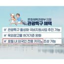 대구 동성로에 "외국인 전용 카지노" 추진 중이라 함 이미지