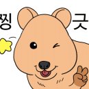 동백자연산횟집 이미지