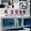 서준활어 네이버블로그