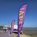 천사의다리섬마을협동조합 | 신안 퍼플섬 박지도 라벤더 축제 &amp; 퍼플교, 박지도·반월도