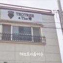 테오트리&더수