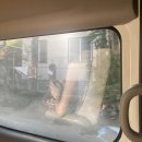 헌드레드 짐 | [여행/필리핀] 마닐라 호핑투어: 헌드레드 아일랜드 투어, 대만족 후기 - Hundred Islands Tour
