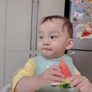 컴싱크 | 싱크대 음식물처리기 덕분에 음쓰 벌레 냄새 걱정 끝