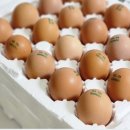 위더스팜 이미지