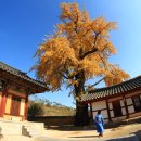 교리길-5 네이버블로그