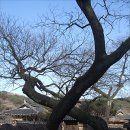 산청군농협단성지점 이미지