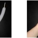 요술강아지 이미지