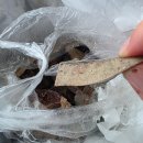 연동우체국 | 260404 연동 소문난 순대 + 동래시장 멘쵸비 오픈런