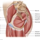 이천쌤 바디클리닉 이미지