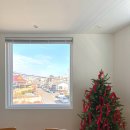 스테이 레브 이미지