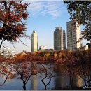 만추 - 여수시 | 만추