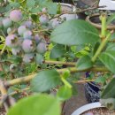 서성세탁소 이미지