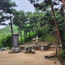 회암사 | 양주 회암사 지공선사부도비(楊州 檜巖寺址 指空禪師浮屠碑).경기
