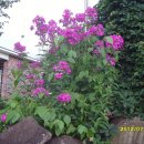 감산2리 이미지