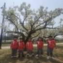 송탄중앙어린이집 이미지