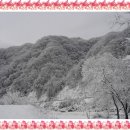 원이훈이 펜션 네이버블로그