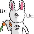 빛나리세차 이미지
