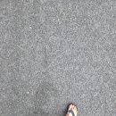 별난만두 내서삼계점 | 정관 맛집 교동닭칼국수 더울때는 삼계칼국수로 몸보신해요