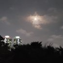 상동래미안공인중개사사무소 이미지