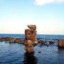 제주 비양도 호니토 이미지