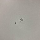 비크하우스 이미지