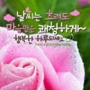 송산초교 이미지
