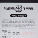 러브애견 이미지