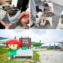 여주-1126 Daum카페