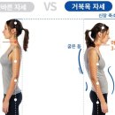 경기도 수원시 영통구 도청로89번길 이미지