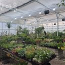 파란마을 이미지